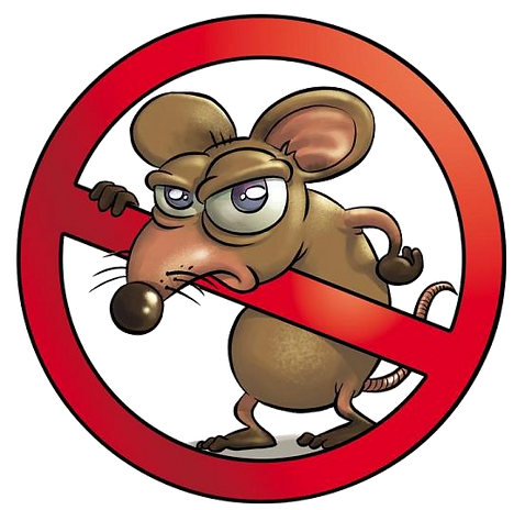 Derattizzazione professionale