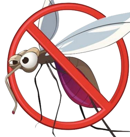 Controllo insetti volanti – zanzare mosche